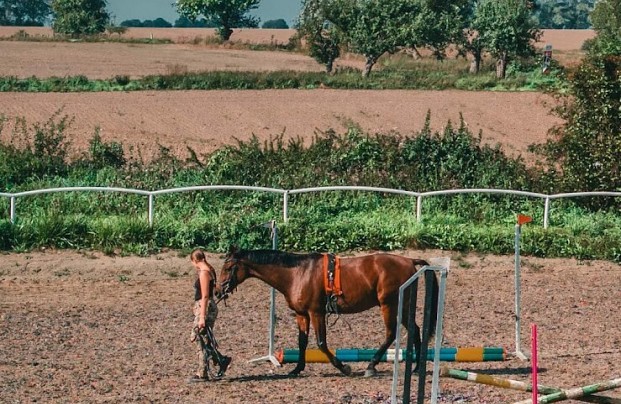 Zespół pałacowo-parkowy w Runowie