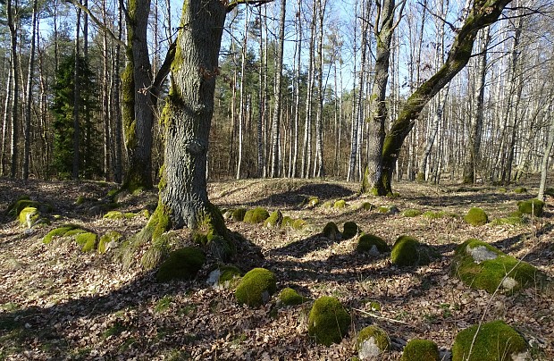 Łupawa – cmentarzysko megalityczne (tzw. północne)