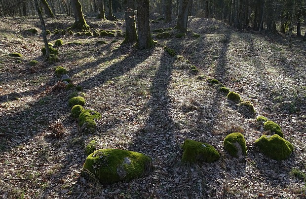 Łupawa – cmentarzysko megalityczne (tzw. północne)
