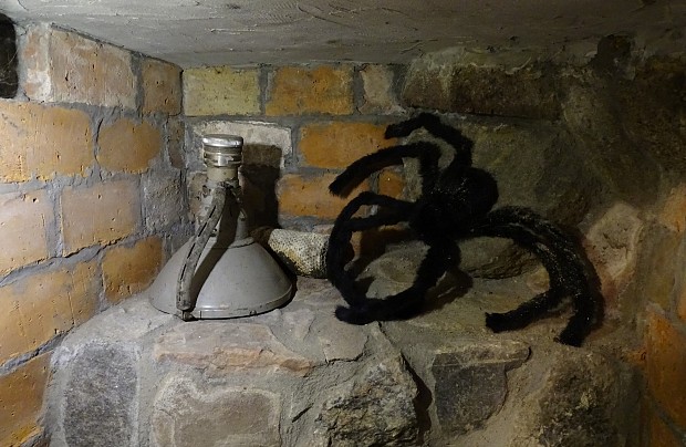 Włochaty strażnik mrocznych zakamarków piwnic galerii