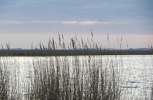 fot. Sławomir Zawadzki (plik na licencji Creative Commons)