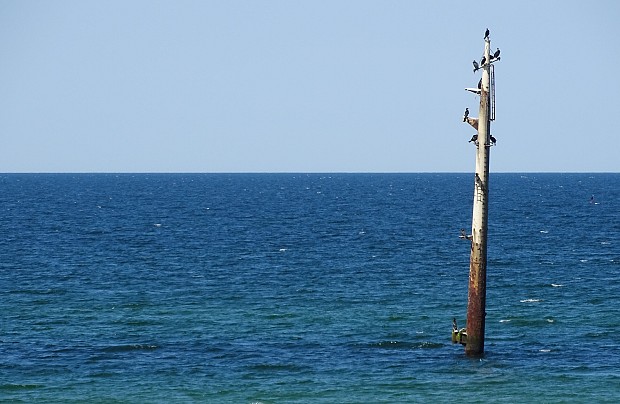 Wrak statku "West Star"