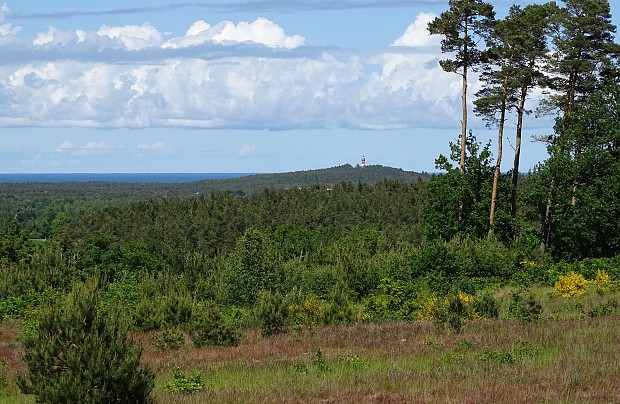 Punkt widokowy w pobliżu Ulini