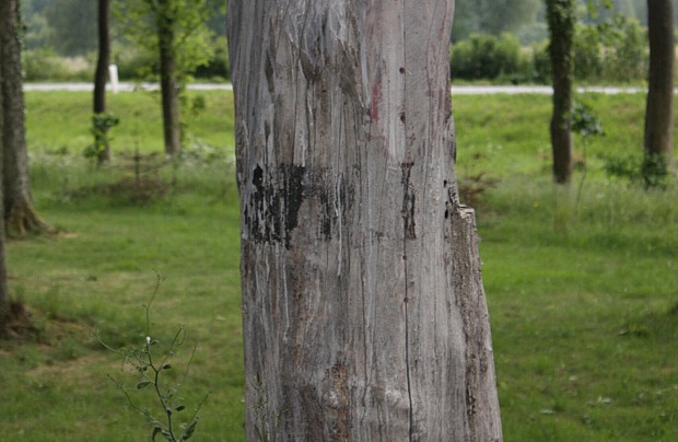 Przypałacowa Galeria Rzeźb w Poraju