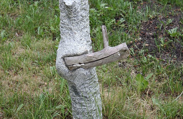 Przypałacowa Galeria Rzeźb w Poraju