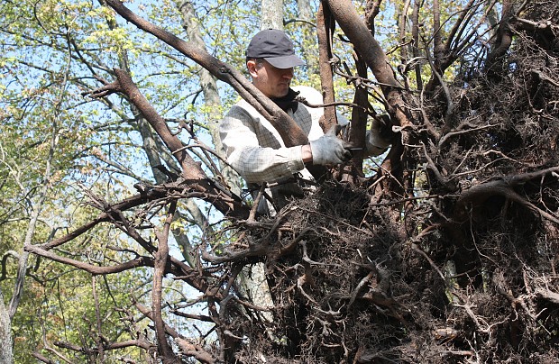 Przypałacowa Galeria Rzeźb w Poraju