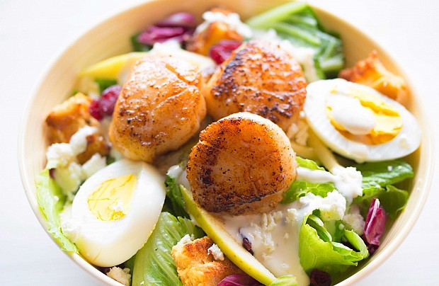 Zdjęcie ze strony www.hotel-vega.pl