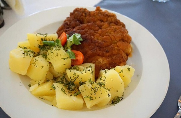 Zdjęcie ze strony www.dworek.czardasz.pl