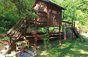 Zdjęcie ze strony www.facebook.com/profile.php?id=100060918566424