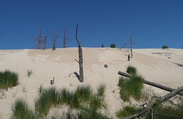 Szlak Łeba - Wydma Łącka - Łeba