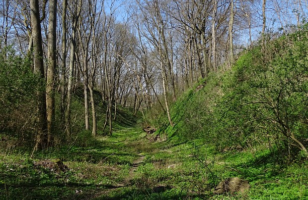 "Grodzisko Białogarda"