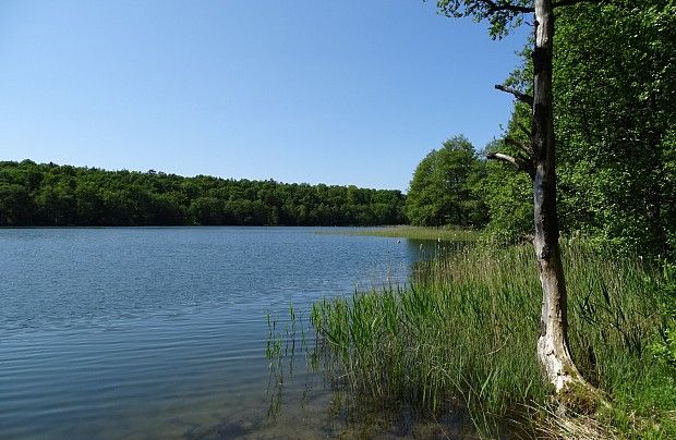 Jezioro Oskowo