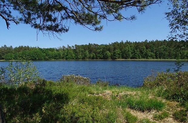 Jezioro Osowskie