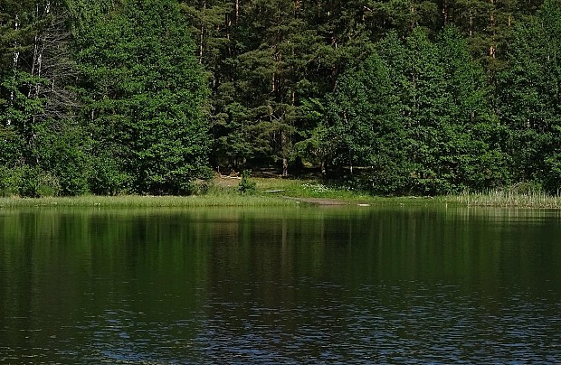 Jezioro Osowskie