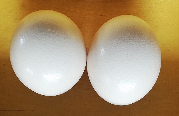 Strusia Farma Kniewo