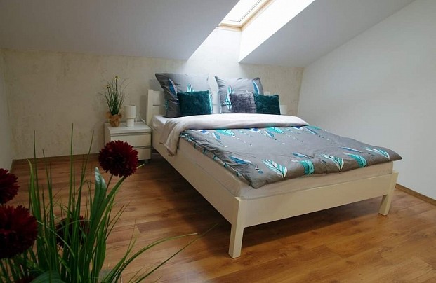 Pensjonat Kaszusbki Staw