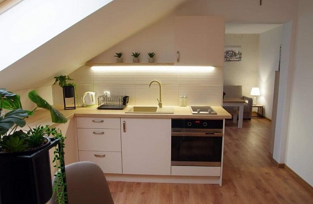 Pensjonat Kaszusbki Staw