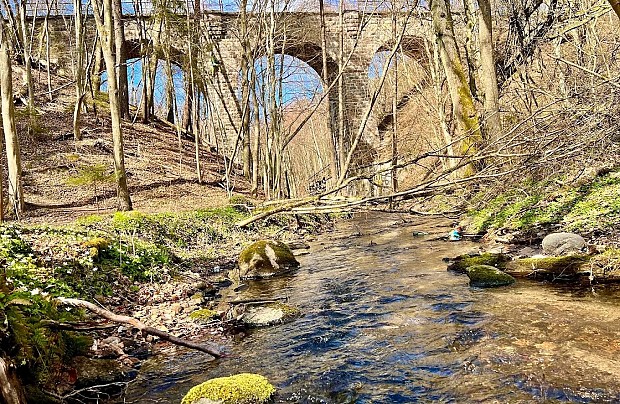 fot. Jan Anisimowicz