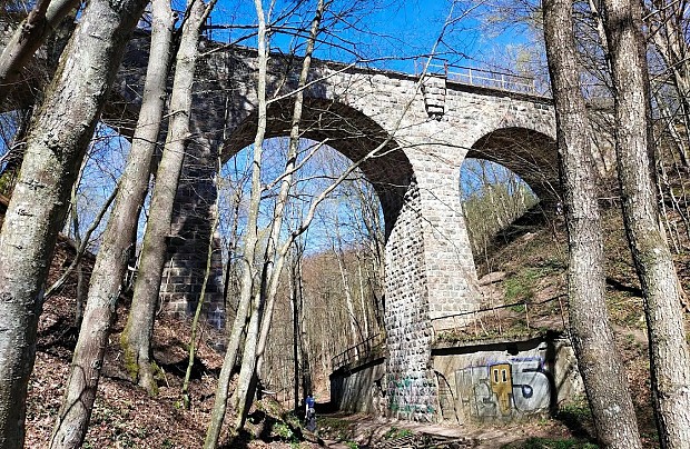 fot. Radosław Burak