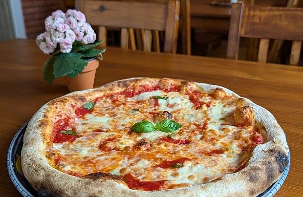 Zdjęcie ze strony www.facebook.com/profile.php?id=61568993177552